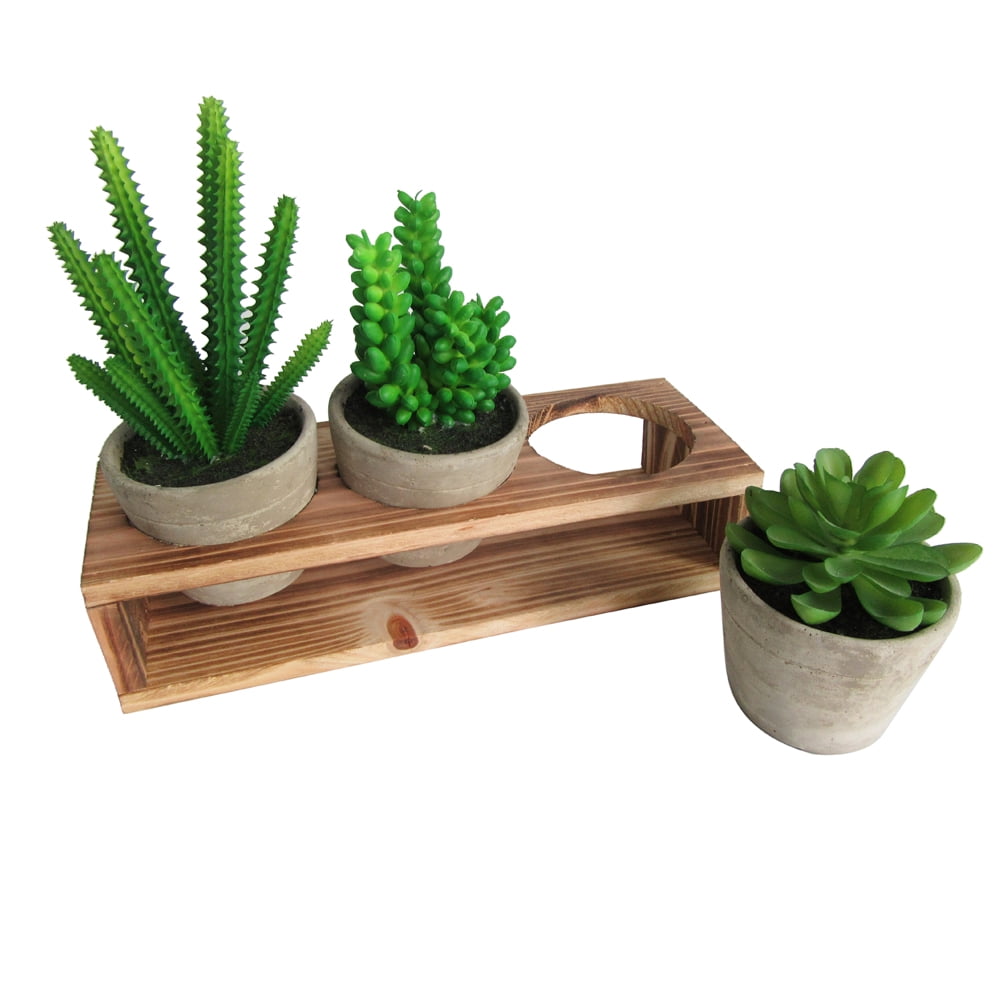 Artificial Succulent 3 Pieces Assorted Potted Fake Green Plant in Cement Pot
