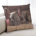thumbnail image 1 of Ahgly Company Dogs Bulldog Coussin d'Intérieur, 18 Pouces par 18 Pouces, 1 of 6