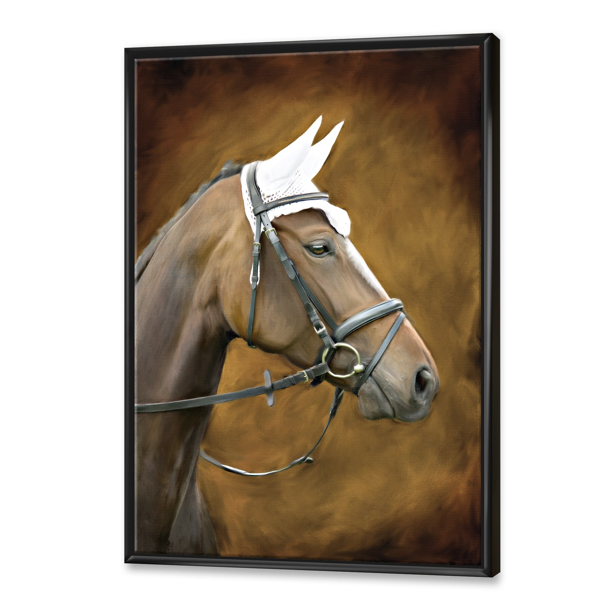 Designart 'Close Up Portrait Of Brown Horse With White Ears' Farmhouse Framed Canvas Wall Art Print