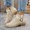 Beige, variant on Women's Buckle Ankle Boots Thick Heel Low Block Fall Winter Street Style for Casual Beige 9