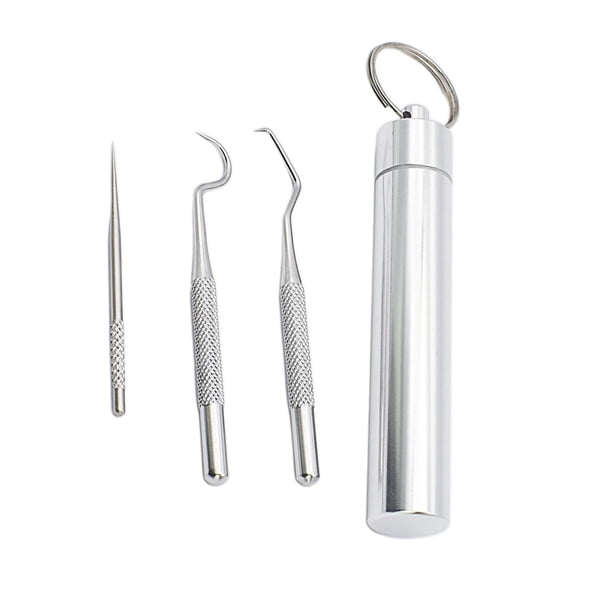 Palillo de Dientes Portátil de Acero Inoxidable Sunnimix con Soporte Grande de 3 Piezas
