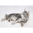 thumbnail image 3 of Hi-Line Gift Ltd Lying Down American Shorthair Cat Statue, 3 of 4