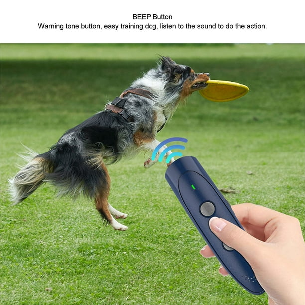 Dog barking training sale