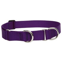 1in Purple 15-22 Martingale Dog Collar
