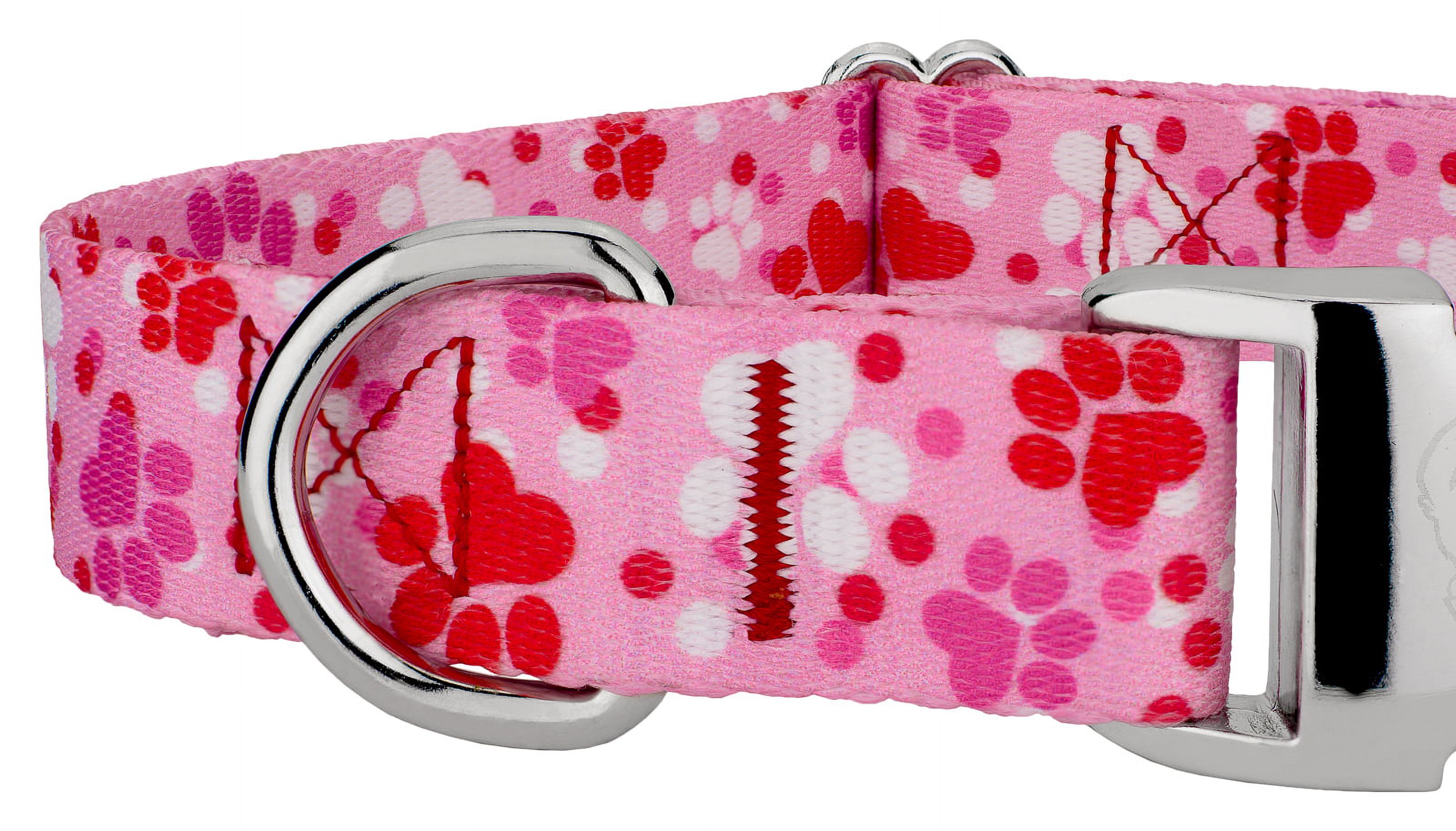 Country Brook Petz® Premium Puppy Love Dog Collar and Leash, Extra Large - image 5 of 6