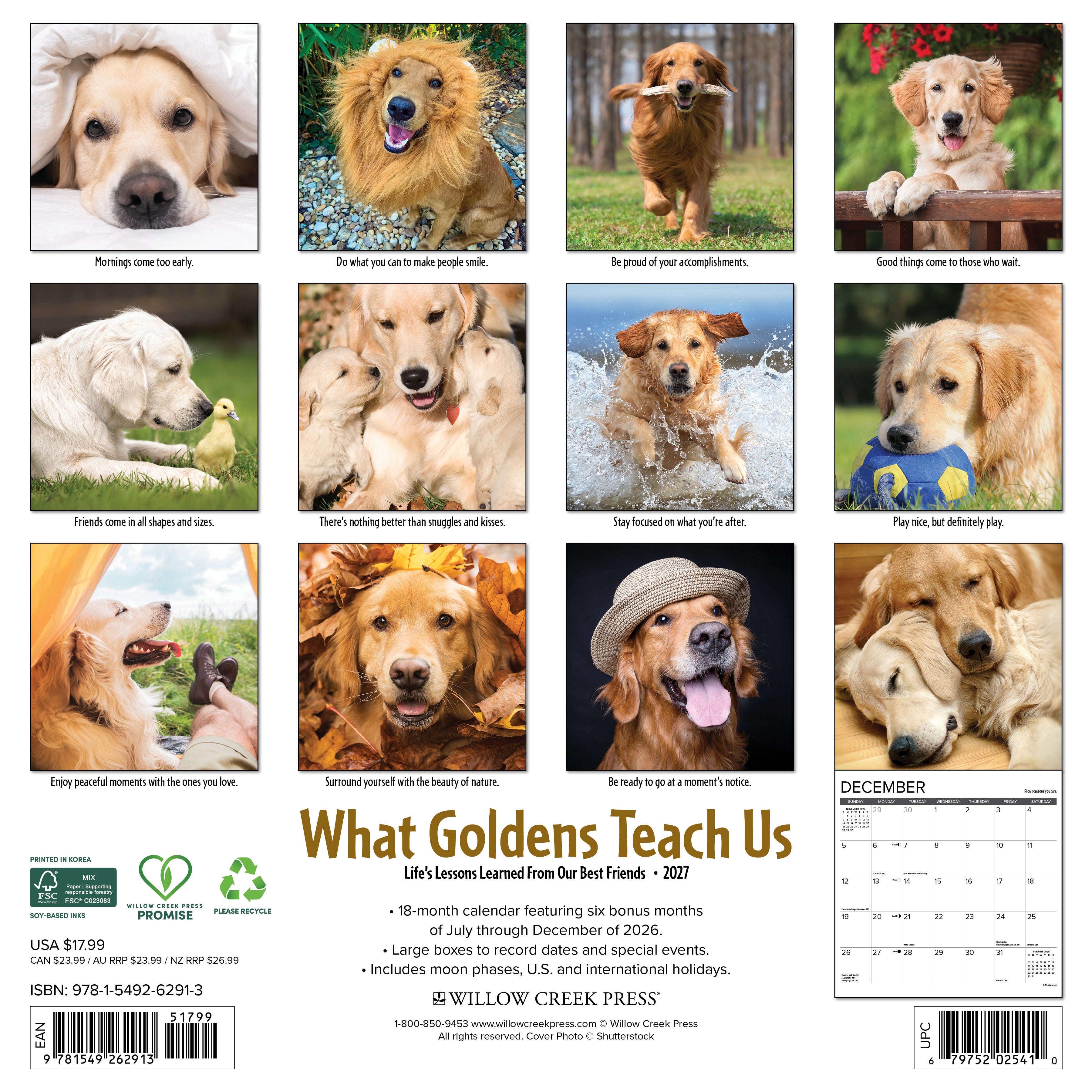 Willow Creek Press, What Goldens Teach Us 2027 Wall Calendar