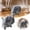 C, variant on Decorland Robotic Puppy Interactive Lifelike Moving Barking 1-Pack