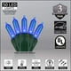thumbnail image 2 of Luces para Árbol de Navidad Wintergreen 50 T5 LED Azul, 2 of 6