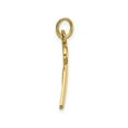 thumbnail image 2 of 14K Yellow Gold Script Initial Z Pendant for Women, Polished Letter Charm Necklace, Dainty Monogram Jewelry, Elegant Symbol of Identity, Classic Everyday Accessory, 2 of 6