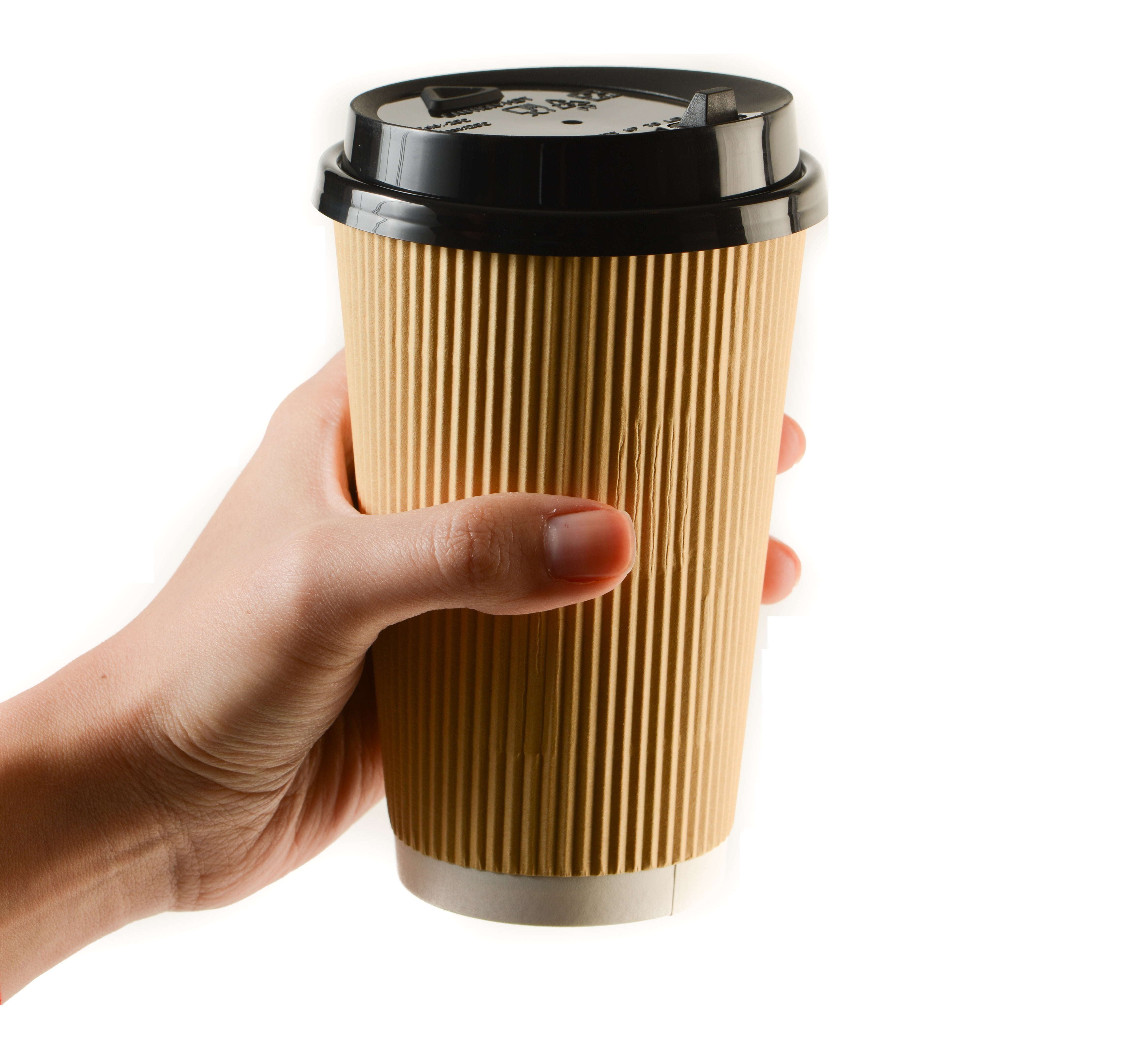 Double-Wall Disposable Coffee Cups with Lids [16oz 300 Pack] — Earth's  Natural Alternative®