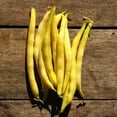 thumbnail image 2 of TomorrowSeeds - Golden Wax Yellow Wax Bean Seeds - 90+ Count - For 2025 Planting Heirloom Beans, 2 of 9