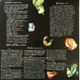 thumbnail image 6 of The Olivia Tremor Control - Black Foliage: Animation Music, Vol. 1 - Music & Performance - Vinyl, 6 of 9