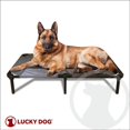 thumbnail image 1 of Lucky Dog CMB10148-ZE0310 Lit pour Animaux de Compagnie Surélevé de 48 Po, 1 of 1