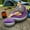 Purple, variant on TPY 2-Piece Inflatable Sofa Set - 49" Lounge Chair & Footstool with Air Pump. Portable Foldable Design for Outdoor Travel, Camping & Beach Use.