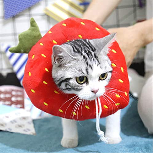 MJEMS Adjustable Cat E-Collar Cute Strawberry Neck Cone After Surgery,Pet Cat Recovery Collar Cat Collar for Cats Wound Healing Protective Fasteners Soft Edge Elizabethan Collars for Small Dog Cat 