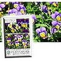 Isla's Garden Seeds 500 Johnny Jump Up Flower Seeds Non-GMO Heirloom Flower Seeds, Pollinators