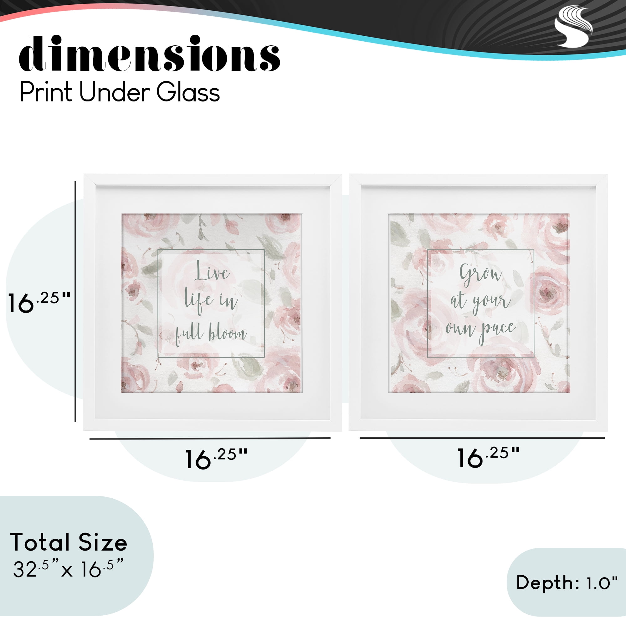 Stupell Industries Full Bloom at Your Pace Florals 2 Piece White Framed Print Under Glass Set, design by Carol Robinson