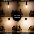 thumbnail image 4 of Bombilla LiteHistory, regulable, E26, Edison, 6 W, 600 lm, 2700 K, paquete de 6, 4 of 7