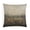 Pattern-1, variant on 16"x16" Cushion Covers Vintage Flowers Dandelion Decorations Pillow Covers Blue Dandelion White Flower Flora Plant Pillows Decorative Throw Pillows Pillowcase for Couch Sofa Bedroom Car Living Room