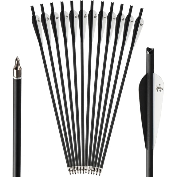 20inch Crossbow Bolts Crossbow Arrows Carbon Archery for Hunting and ...