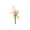 Yellow, variant on Interactive Catnip Cat Toy for Daily Boredom Relief, Cute Monster Star Shaped Stuffed Teaser Doll with Silvervine Stick for Indoor Kittens, Smart Physical Exercise Hunting Game Toy