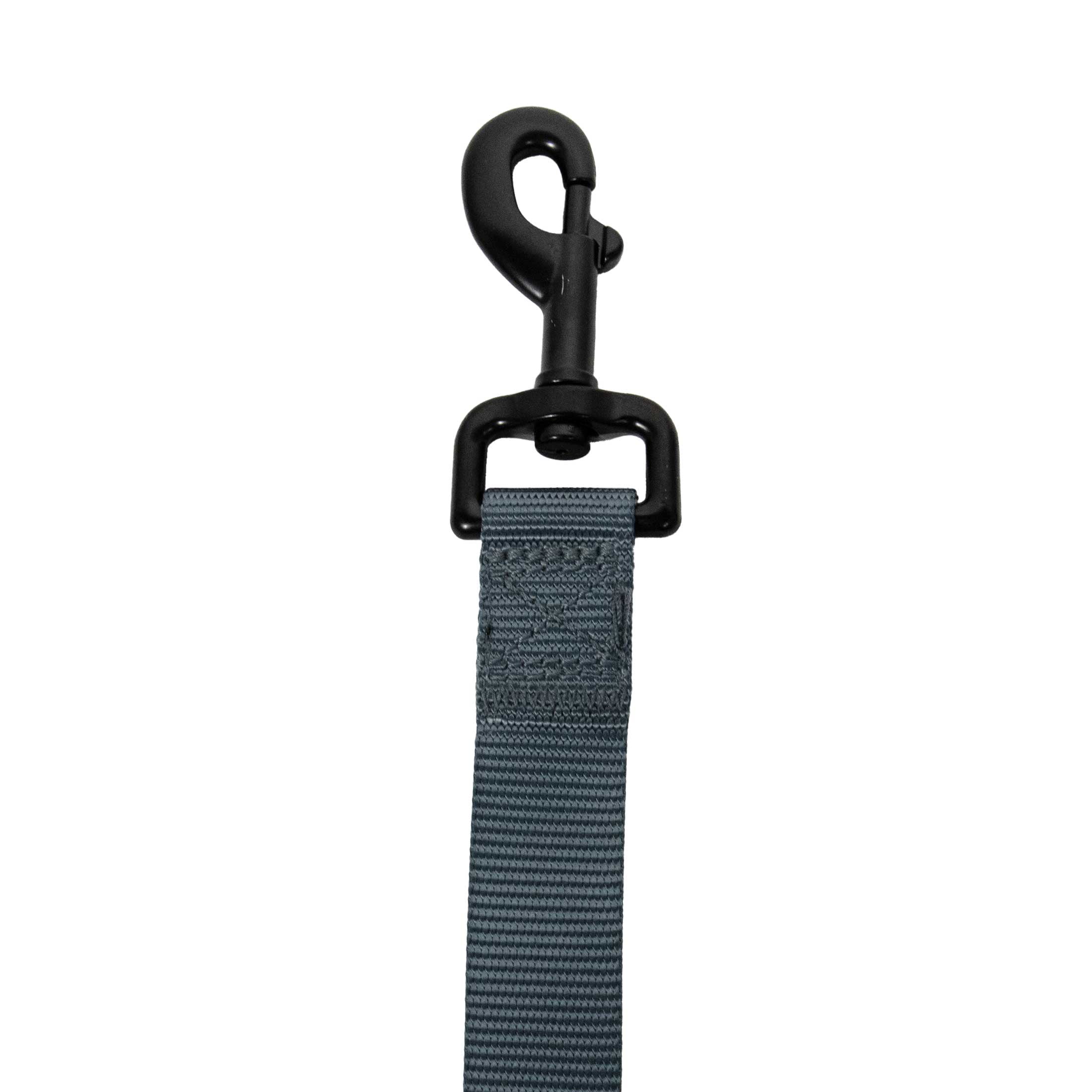 Vibrant Life 6' Solid Polyester Leash, Gray, L