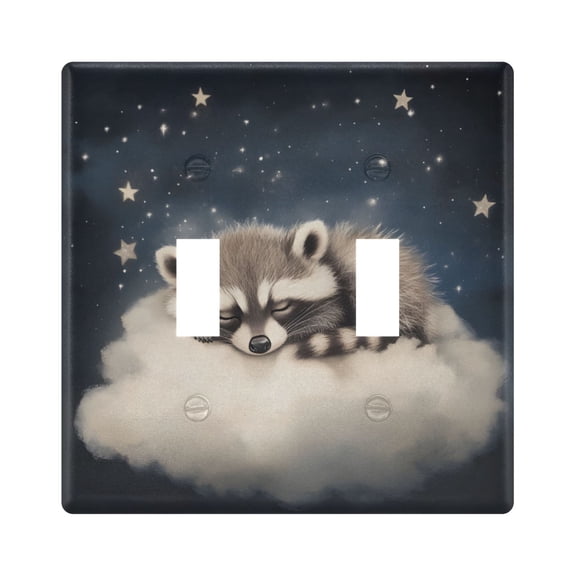 Dailycode Light Switch Plate Covers 2 Gang Wall Plate Plastics Outlet Covers for Kitchen Home Office Decor Raccoon on Clould