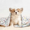 thumbnail image 4 of Naloa Cute Koala Dog Blanket, 3 Sizes Cat Blanket for Indoor Cats Large Medium Small Dog Gifts-Small, 4 of 8
