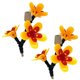 thumbnail image 1 of Comederos colgantes para pájaros, kits de comederos para pájaros para hacer uno mismo, convierte botellas recicladas limpias en el mejor comedero para pájaros, 3 flores, 1 of 5