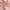 Pink, variant on Spandex Matte Milliskin Nylon Spandex Fabric 4 Way Stretch 58" wide Sold By The Yard Many Colors (White)