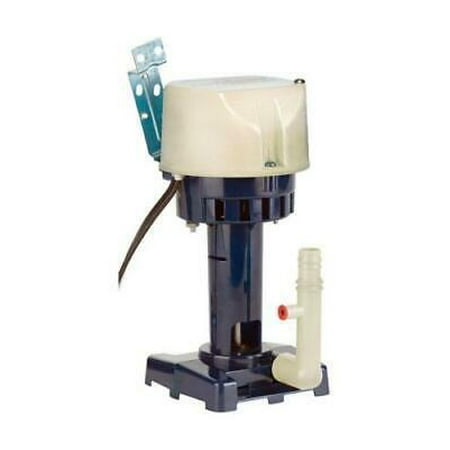 

Little Giant 9 in. H x 4-1/2 in. W Plastic Beige Evaporative Cooler Pump