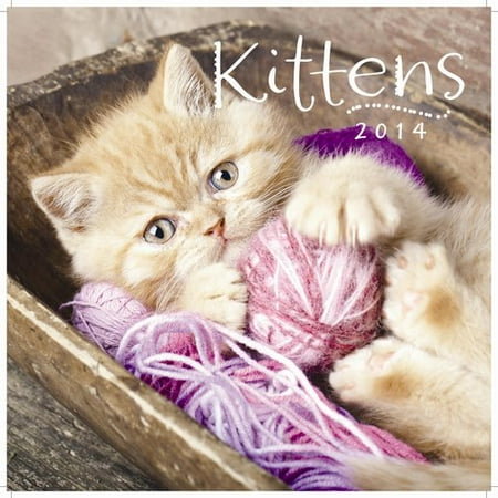 Joyfully Yours by DaySpring Kittens Wall Calendar