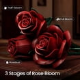 thumbnail image 3 of Set de construcción de flores iATOM Rosas rojas borgoña, paquete de 3, 3 of 7