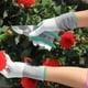 thumbnail image 5 of 1 Juego de herramientas de jardinería, pala, rastrillo, cizalla de jardinería, rociador con estuche de almacenamiento para jardinería, 5 of 7