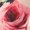 Pink, variant on Tisuna Toddler Dress For Girls Floral Print Ruffled Sleeve Crew Neck Dresses Breathable Leisure Infant Girls Summer School Play Street Wear Size 2-3 Years Pink