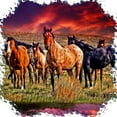 thumbnail image 3 of CafePress - Sunset Horses Mug - 11 oz Ceramic Mug - Novelty Coffee Tea Cup, 3 of 6