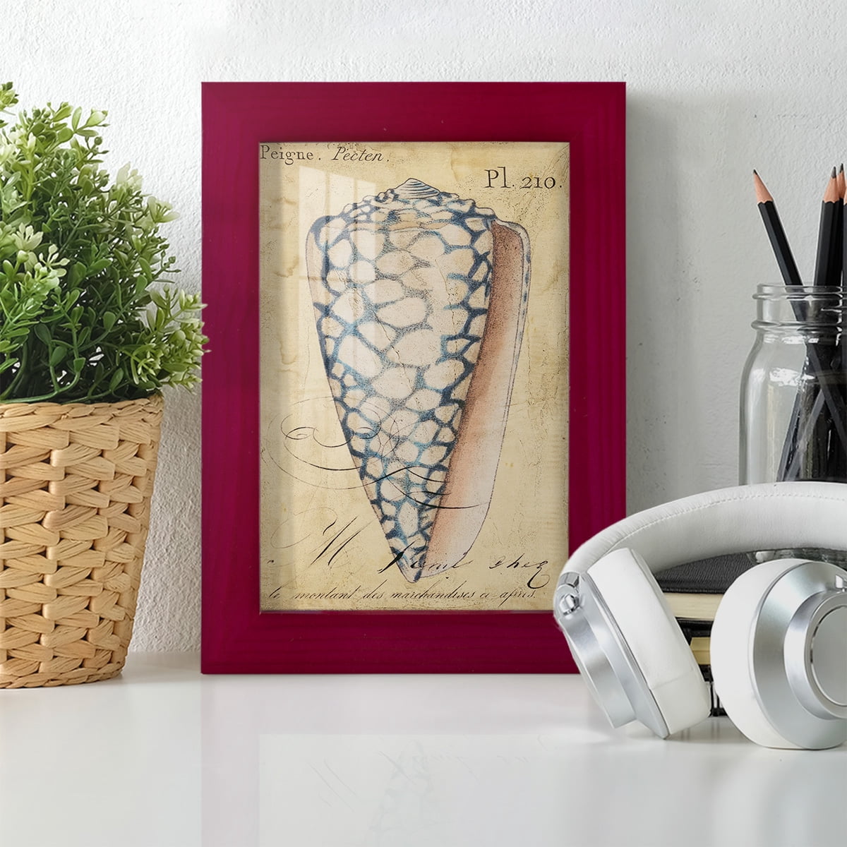 Seashell Ephemera IV - Framed Print w/glass - Cherry Red