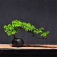thumbnail image 3 of Simulación Bienvenido Belleza de Pino Adornos de Pino y Bonsái Hogar Sala de Estar Plantas en Maceta, 3 of 6