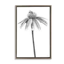 Stupell Industries Simple Daisy Sprig Botanical & Floral Drawing Brown Floater Framed Art Print Wall Art, 17 x 25