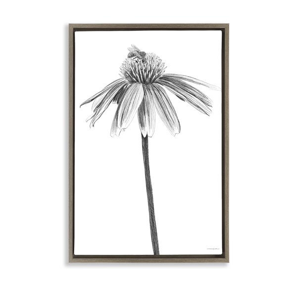Stupell Industries Simple Daisy Sprig Botanical & Floral Drawing Brown Floater Framed Art Print Wall Art, 17 x 25