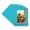 Aquamarine Blue, variant on Blue Picture Frame Mat for 8x10 Frames - Fits 5.5x8.5 Photos - 10 Mats