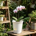 thumbnail image 4 of Clear Orchid Pot with Holes, Transparent Breathable Planter for Phalaenopsis, Indoor Plant Pot with Drainage and Tray, Perfect for Monitoring Root Health, Great Plant Lover Gift, 4 of 6