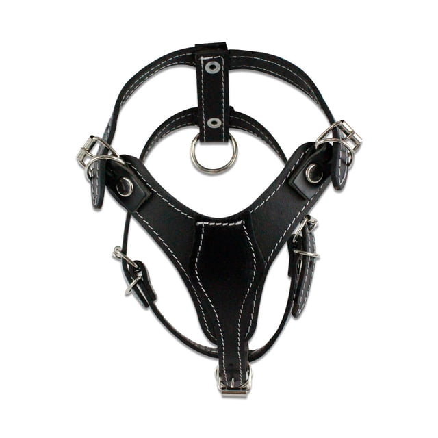 Pechera de piel talla #1 Bajio Pets Apto para cachorros minis