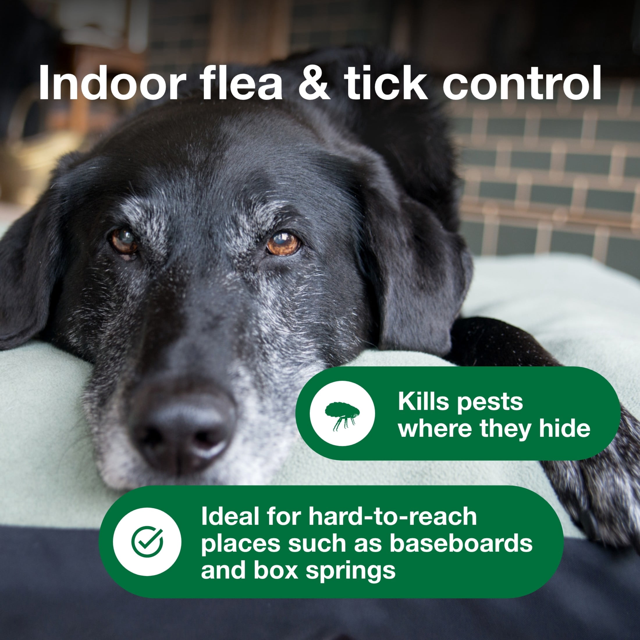 Advantage Carpet & Upholstery Spot Spray, Kills Fleas & Ticks & Bedbugs, 24 oz.