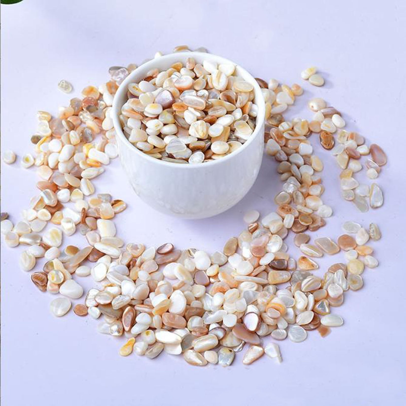 Natural Shell Gravel Pebbles,1.1lb Decorative Aquarium Gravel Pebble River Rock Stones for Vase Filler, Plant Pots, Landscaping, Aquariums, Home and Garden