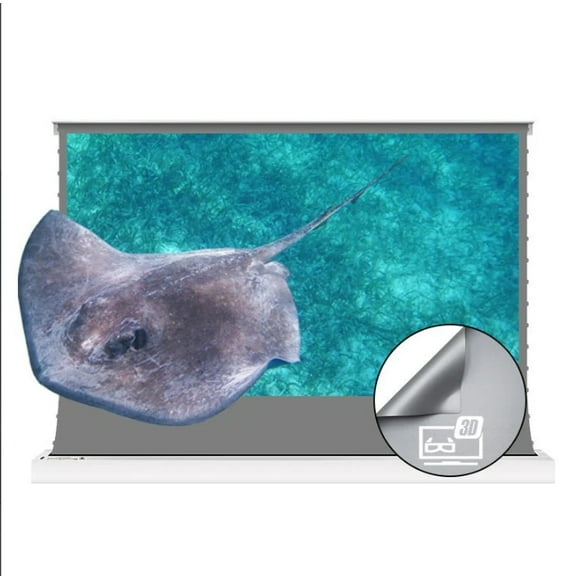 S Electric Tension Floor Screen With 3D(High Gain) Obsidian Long Throw Ambient Light Rejecting 【Recommended For Normal/Standard/Long Throw Projector Use】