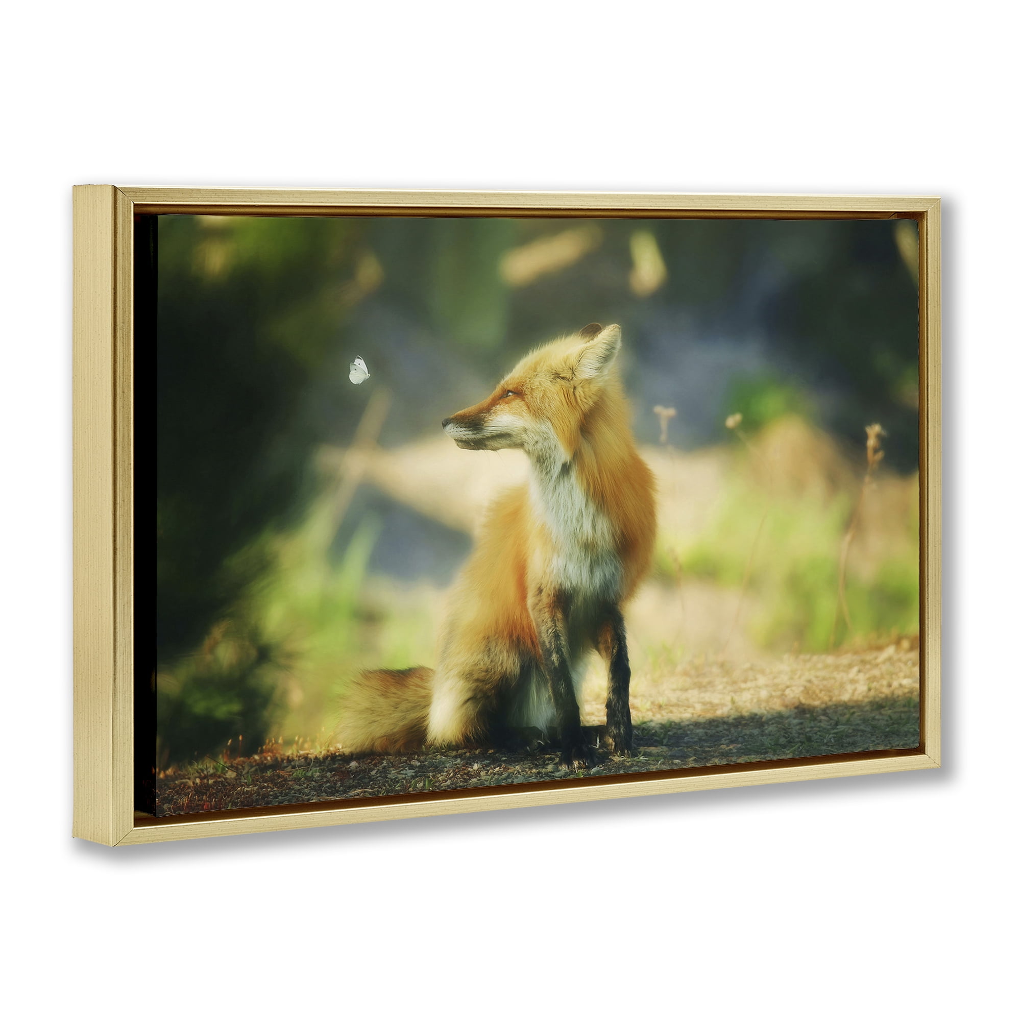 Stupell Industries Fox Kit & Butterfly Animals & Insects Photography Gold Floater Framed Canvas Art Print Wall Art, 25 x 17