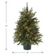 thumbnail image 5 of Árbol de Navidad artificial National Tree Company de 3 pies con luces, 5 of 5