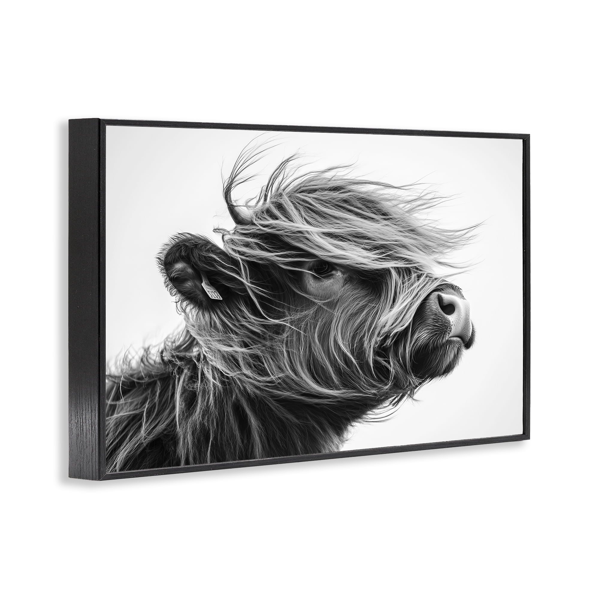 Stupell Industries Handsome Highland Portrait Black Framed Giclee Art, design by Tina LeCour