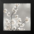 thumbnail image 2 of Bennett, Kate 15x15 Black Modern Framed Museum Art Print Titled - Silver Blossoms I, 2 of 5